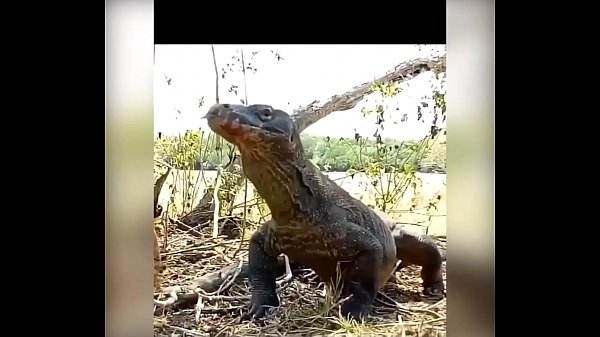 Diamond girl with another epic video  