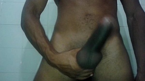 Brazilian black cock