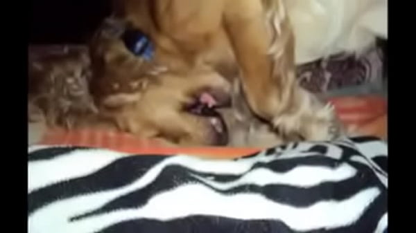 &ETH;&ordm;&Ntilde;&fnof;&ETH;&acute;&Ntilde;&euro;&Ntilde;&ETH;&sup2;&ETH;&deg;&Ntilde; &Ntilde;&ETH;&frac34;&ETH;&plusmn;&ETH;&deg;&ETH;&ordm;&ETH;&deg;