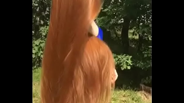 13519404 1560819960889844 1202191881 n