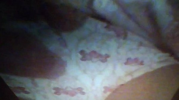cumming on sis inlaws panties