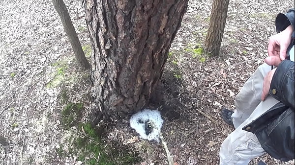 boys pissing together a big foamy puddle at a tree