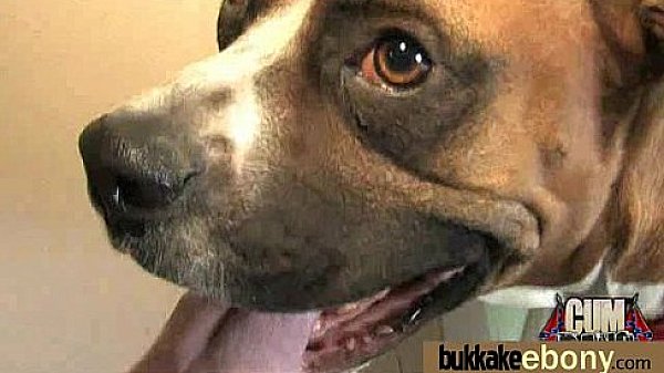 Ebony Gang bang and CUM FEEDING 26