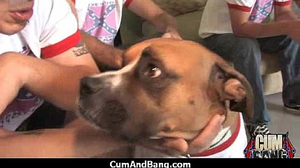 Nasty group blowjob porn video 8