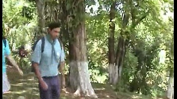 Campers Collide Outside