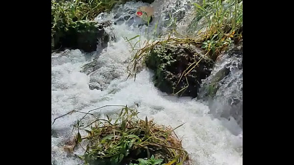 Video x&aacute;c minh