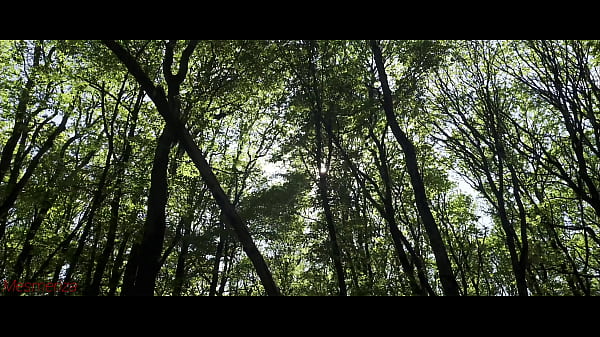 Mesmeriza 23 02 MOV CINEMA CLIP 321 20240814134325039 