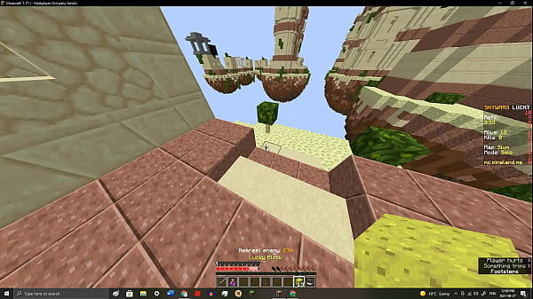 no h*rny play minecraft  