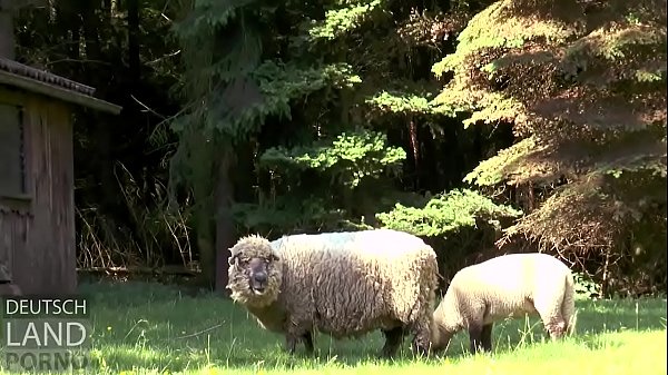 Parkplatzluder 19 - wo sie wohl ihre Freizeit verbringt ?
