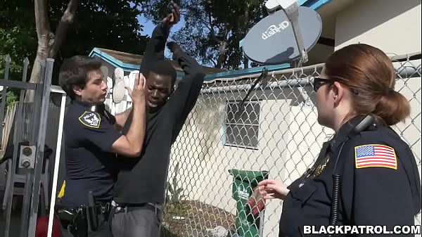 Domestic Disturbance Call