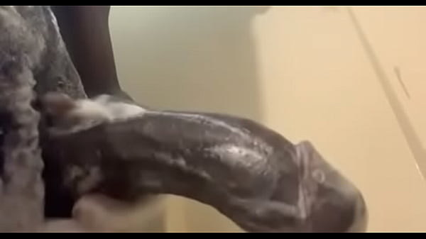 Washin da rising black rod