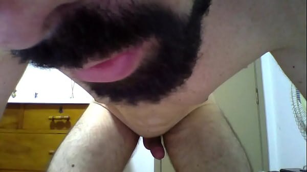 Apresenta&ccedil;&atilde;o do corninho safado