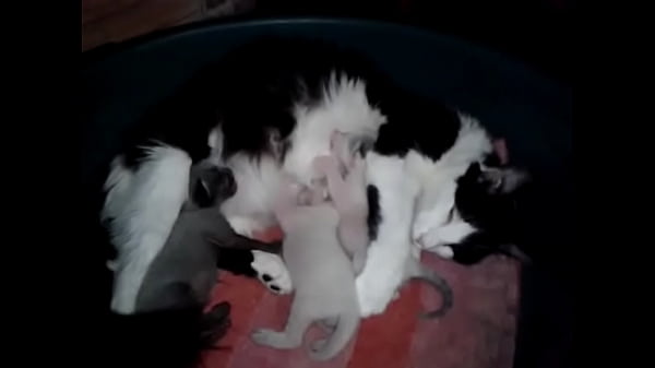 video-2015-08-31-02-54-08 