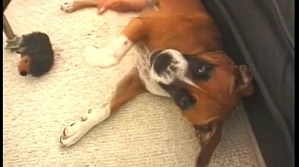 Gauge - please 11 - extremely rare - for collectors clip1