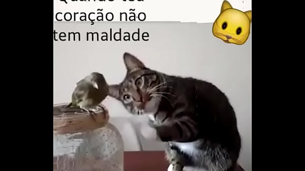 Dotado macho cl&aacute;ssico gostoso 