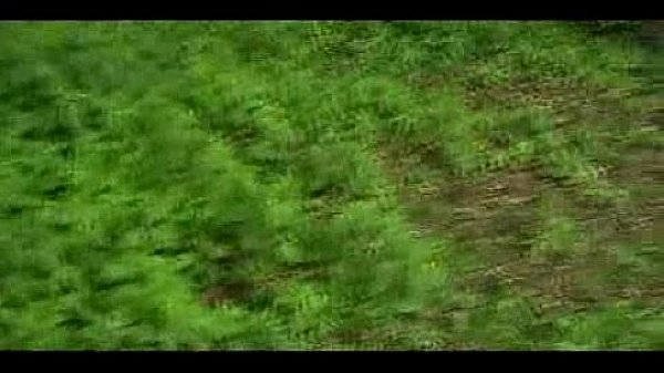 Gay Public Hardcore - Blow Job in Car