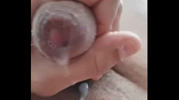 &Chi;&upsilon;&sigma;&iota;&alpha; &Kappa;&alpha;&lambda;&omicron;&kappa;&alpha;&iota;&rho;&iota;  