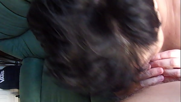 Un matin de septembre pour chienne marie avec un fan de passage dans la r&eacute;gion