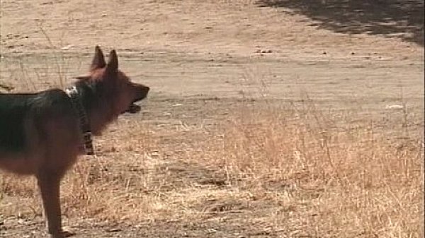 Good couple outside sex 