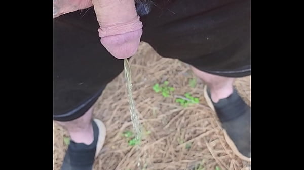 Outdoor pee  