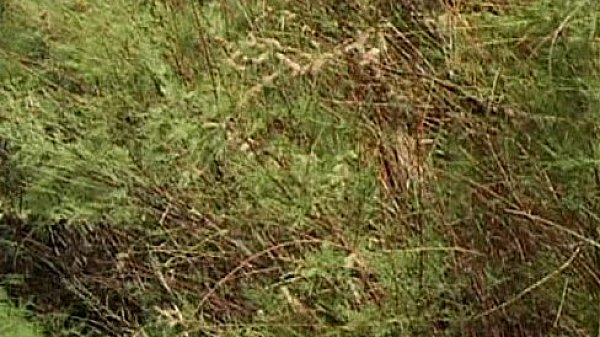 Metro - Young Wet And Wild 02 - scene 2