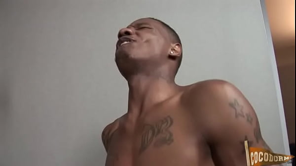 03-964 Kristian Dawawan   Travis Davis TEASER DREPEECEE1859 cocodorm - High