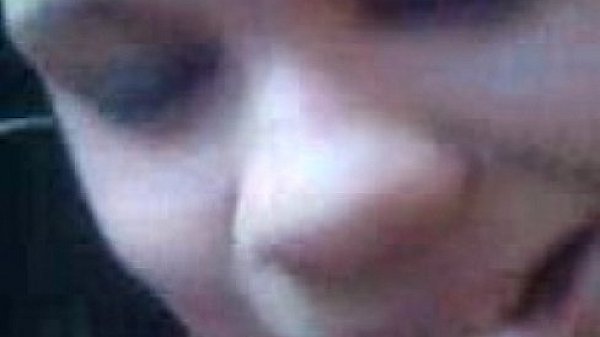 La perra de alvania en la guajira