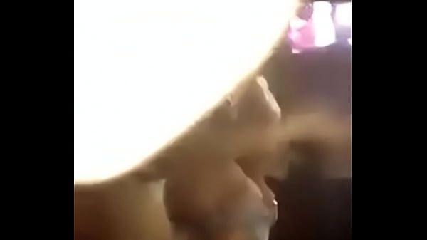 Gatas se pegando em uma festa ANMS v&iacute;deo lend&aacute;rio