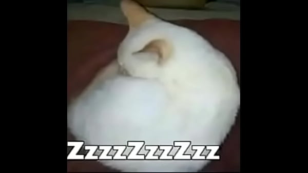 V&iacute;deo de verificaci&oacute;n