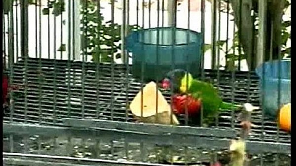 Outdoor adventures on the farm  