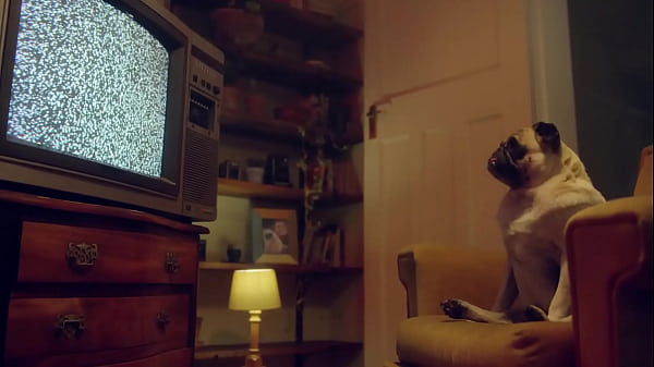 Blowjob in the jacuzzi - Marika Milani gives me a filthy blowjob in a hotel | Benefit Monkey  