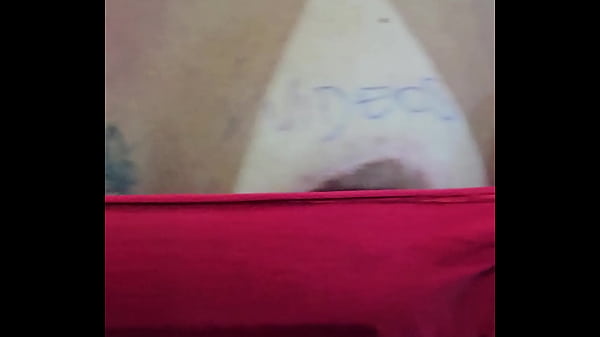 V&iacute;deo de verifica&ccedil;&atilde;o