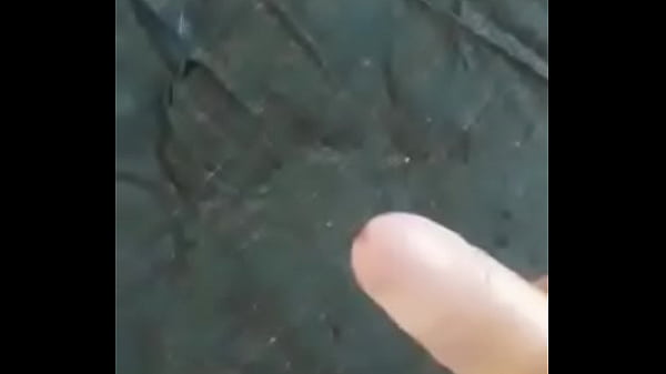 tirando leite do pau