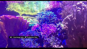 &ldquo;El Calenturiento&rdquo; - Relato Porno Audio  