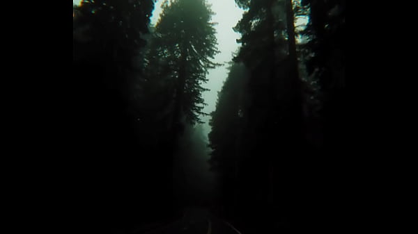 Bokep Indonesia Terbaru  