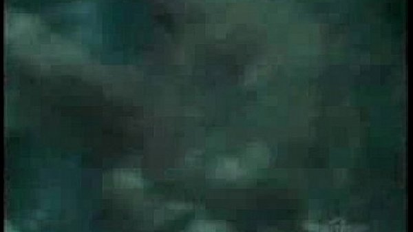 Amazing-Azlea-head-to-toe.avi