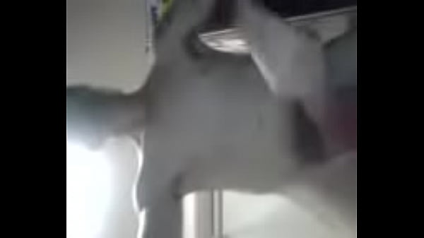 video-2017-04-23-00-21-23 