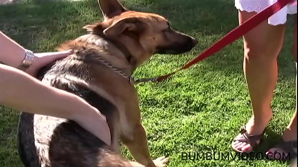 big white cock fucks brunette slut in pussy after deep blowjob in car and then at home. then he comes on her mouth