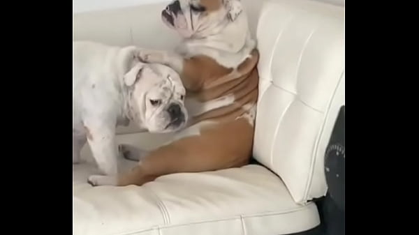 no creeras cuanto vale este NFT!!