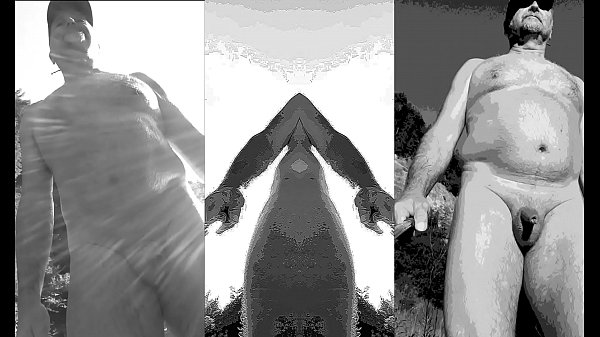 bear penis with foreskin outdoor