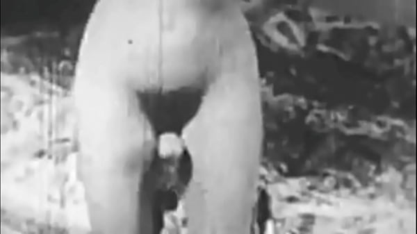 Two Centuries Of Retro Porn  