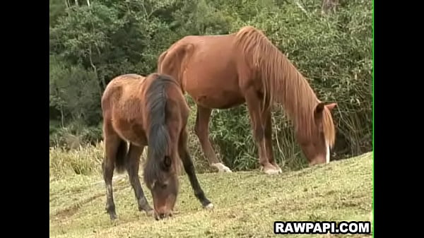 Two Latino Boys Fucking Bareback