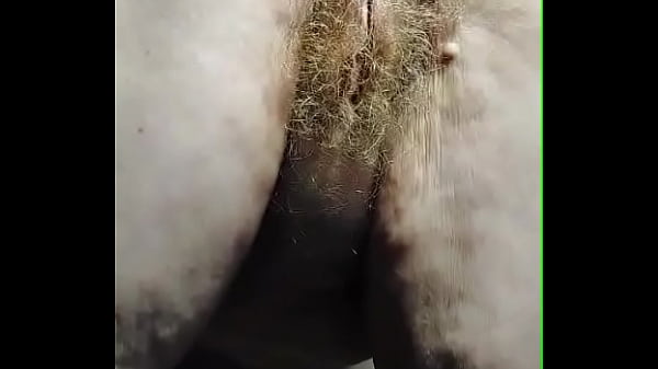 Granny fucks hairy pussy with cucumber  