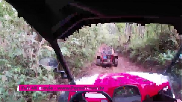 Erotic story of two couple