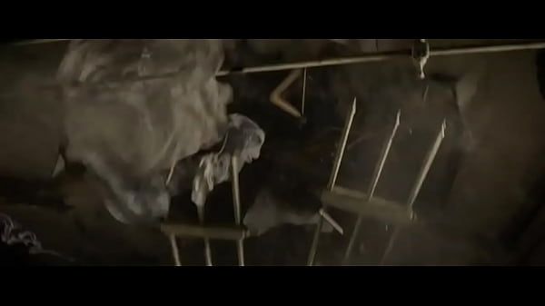 Animais fodedores fant&aacute;sticos