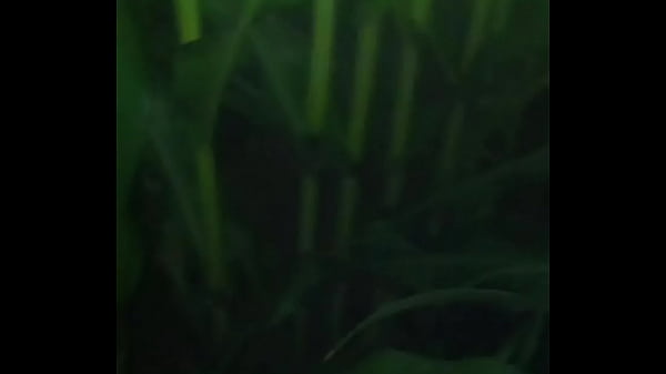 Through the Field only with G-String