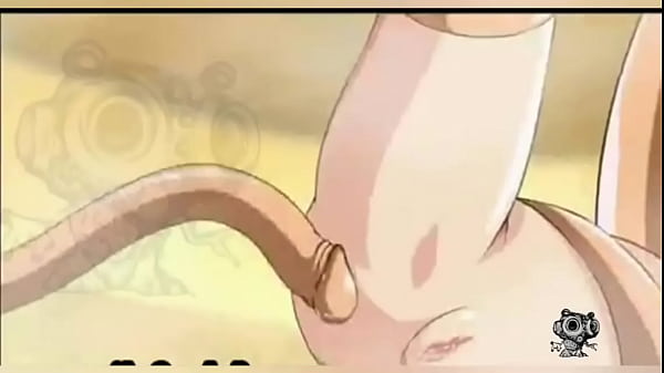 El capit&aacute;n ordella