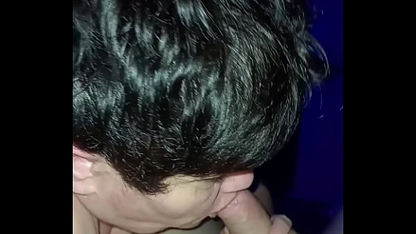 2025 11 14 Chienne Marie offerte au club le Paradis 