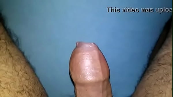 tmp 14611-1 (4)1224186129