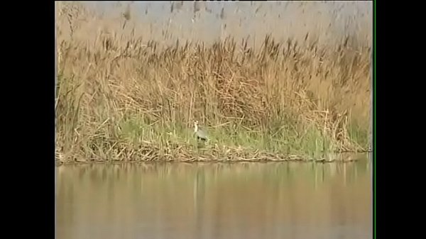 Alba Del Monte, Sara Bernat, Tavalia Griffin, Sophie Evans, Cha&iuml;na, Ramhatulay